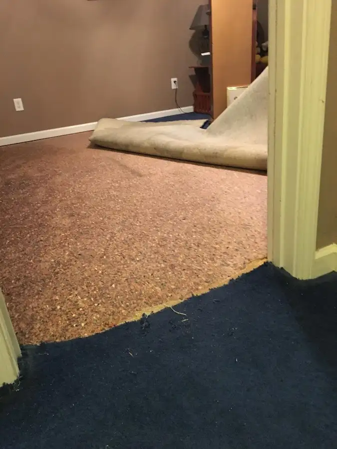 Carpet pad removal revealing water damage during Water Mitigation Services in Saks
