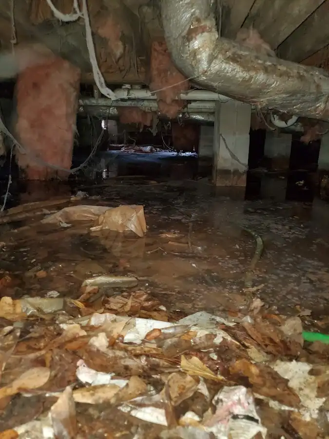 Crawl space flood assessment for Leak Detection & Repair in Saks